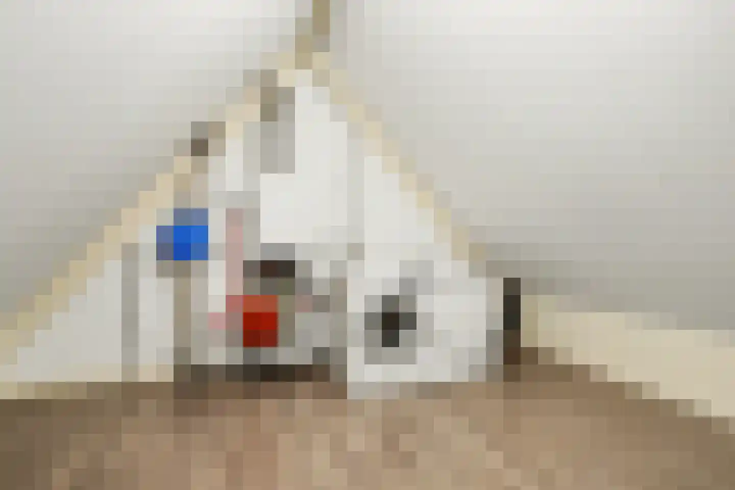 Boterbocht 45 Steensel thumbnail 32