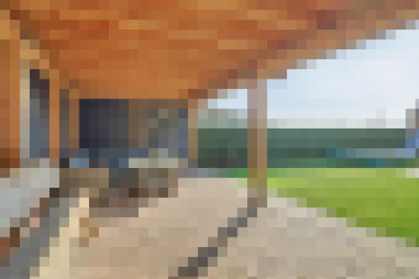 Boterbocht 45 Steensel thumbnail 36