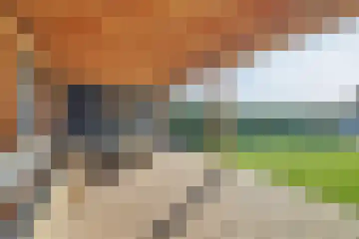 Boterbocht 45 Steensel thumbnail 36