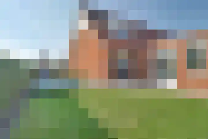 Boterbocht 45 Steensel thumbnail 39