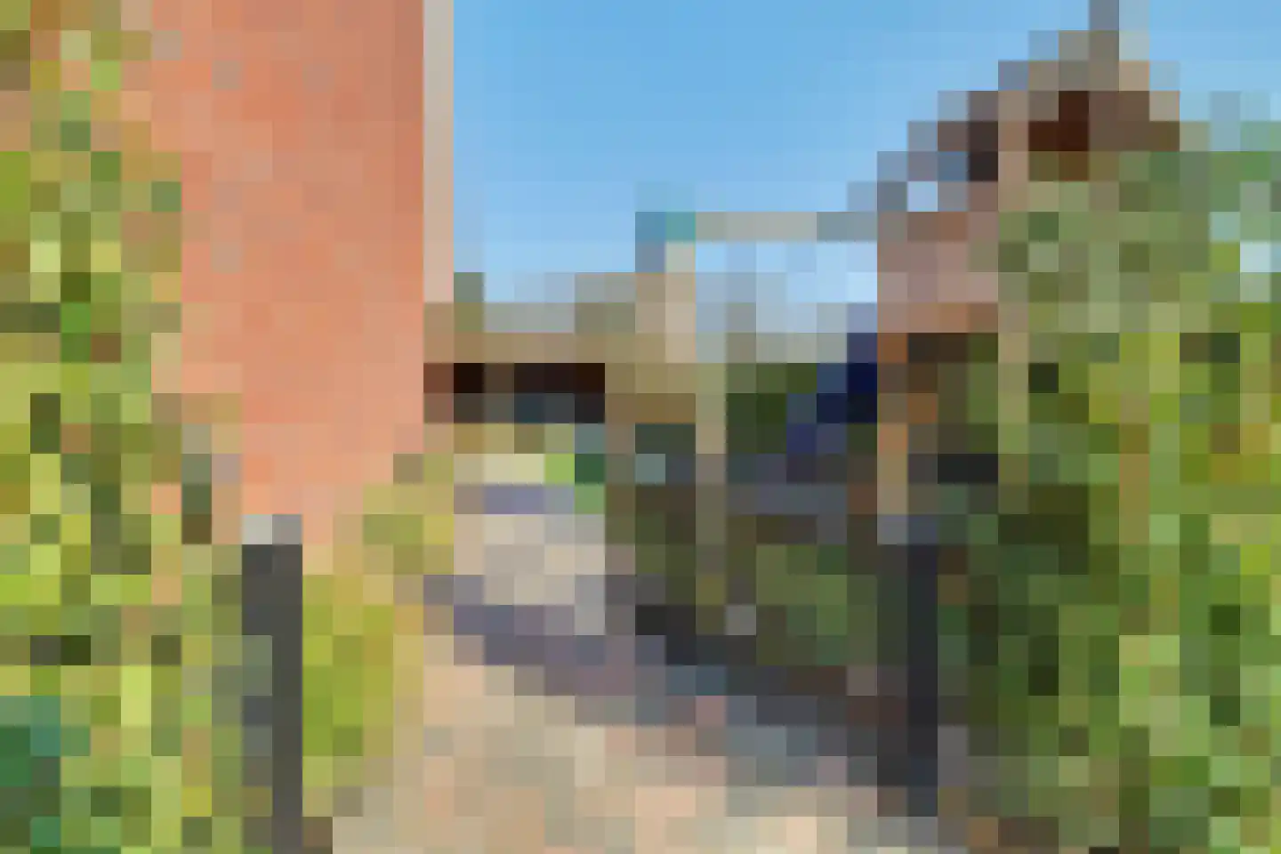 Boterbocht 45 Steensel thumbnail 42
