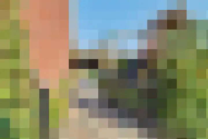 Boterbocht 45 Steensel thumbnail 42
