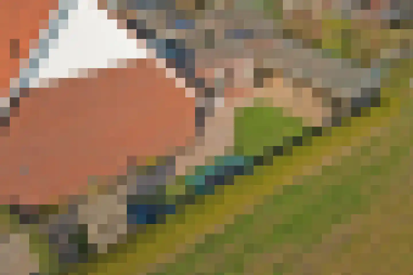 Boterbocht 45 Steensel thumbnail 43