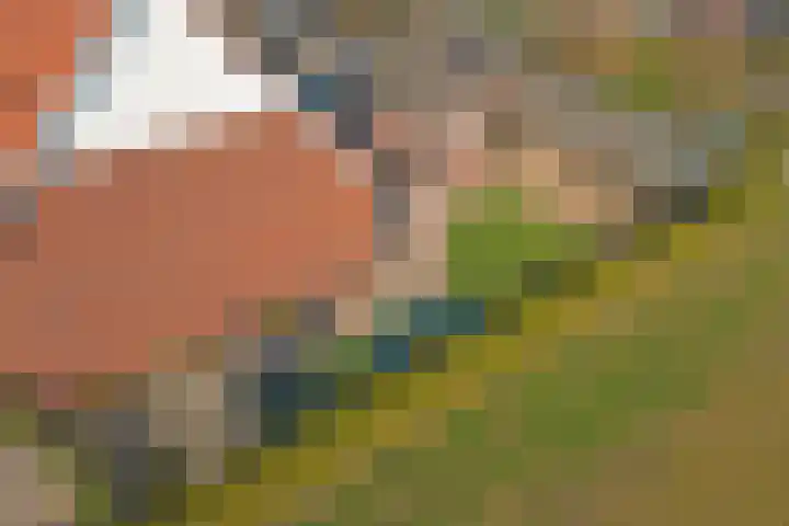 Boterbocht 45 Steensel thumbnail 43