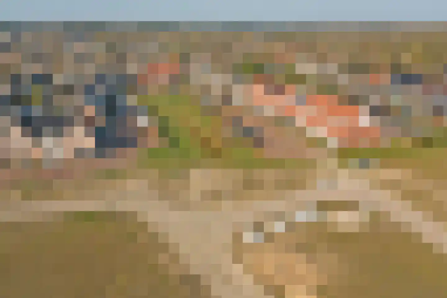 Boterbocht 45 Steensel thumbnail 44