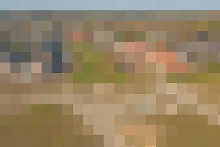 Boterbocht 45 Steensel thumbnail 44