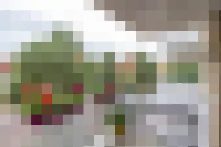 Boterdiep 15 f Groningen thumbnail 24