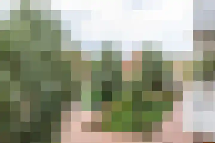 Boterdiep 15 f Groningen thumbnail 28