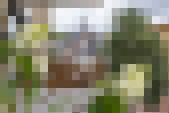 Boterdiep 15 f Groningen thumbnail 29