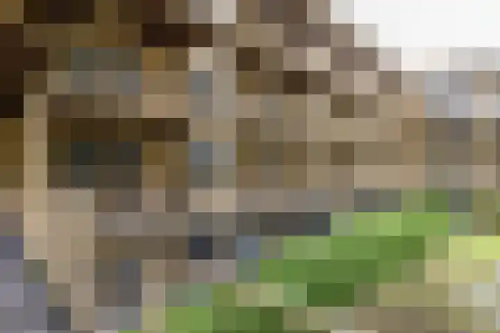Boterdiep 15 f Groningen thumbnail 31