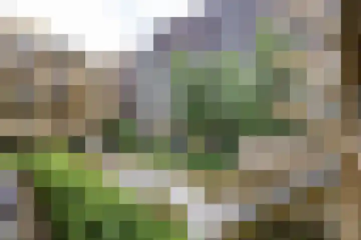 Boterdiep 15 f Groningen thumbnail 32