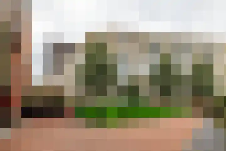Boterdiep 15 f Groningen thumbnail 36