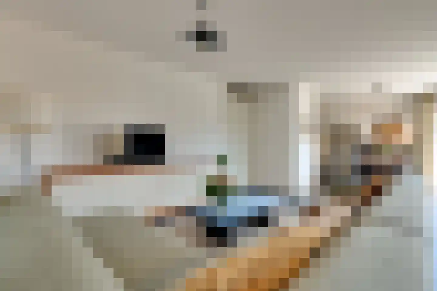 Boterdiep 15 m Groningen thumbnail 6