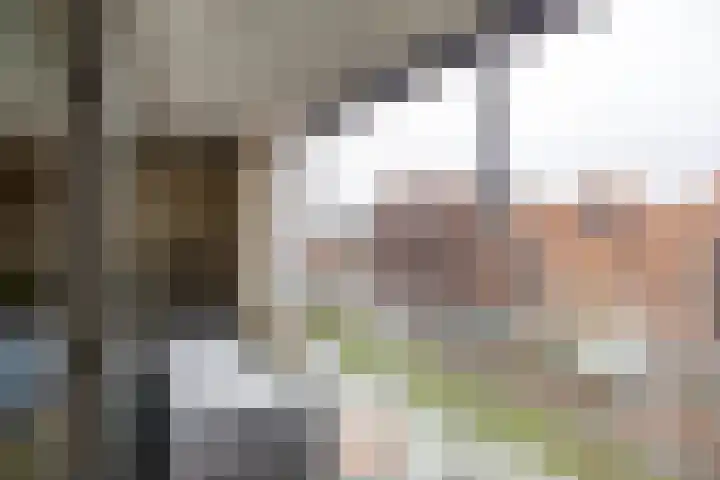 Boterdiep 17 d Groningen thumbnail 29