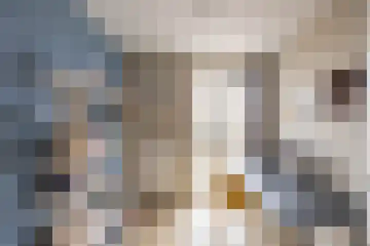 Boterdiep 17 d Groningen thumbnail 37
