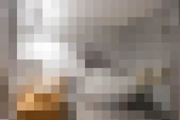 Boterdiep 17 d Groningen thumbnail 45