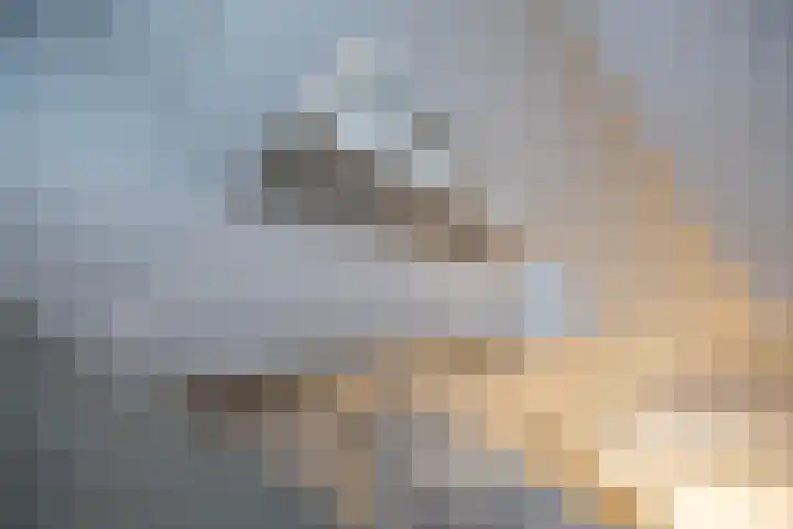 Boterdiep 17 d Groningen thumbnail 6
