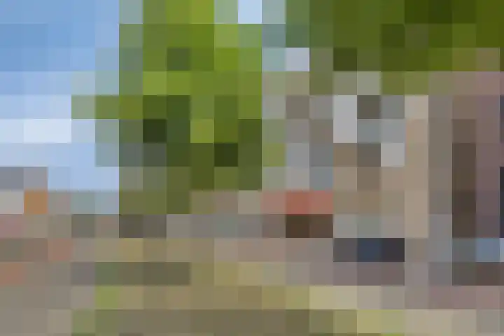 Boterdiep 17 f Groningen thumbnail 4