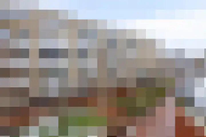 Boterdiep 17 h Groningen thumbnail 37