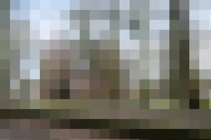 Boterdiep 17 h Groningen thumbnail 38