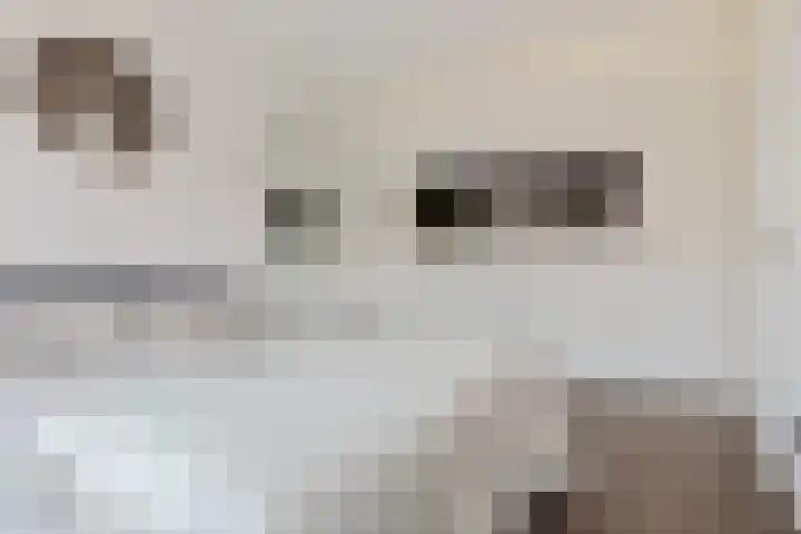 Boterdiep 32 21 Groningen thumbnail 41