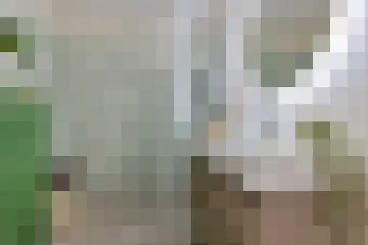Boterdiep 32 21 Groningen thumbnail 45