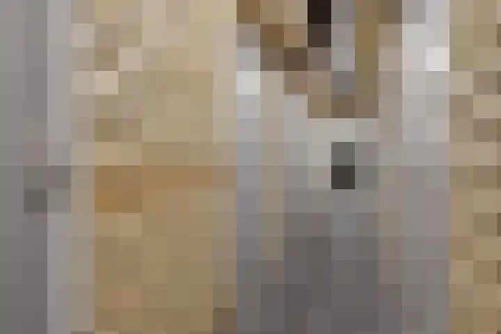 Boterdiep 32 21 Groningen thumbnail 48