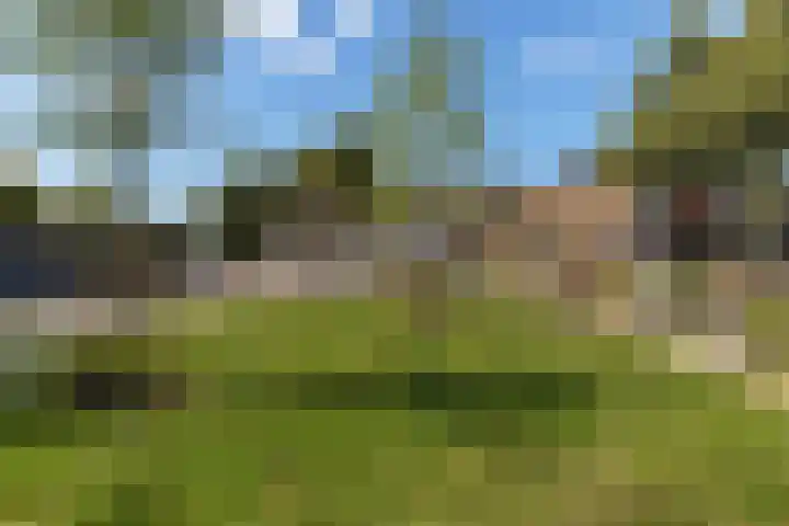 Boterdiep 32 21 Groningen thumbnail 7