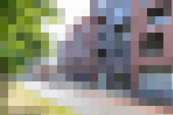 Boterdiep 32 5 in Groningen