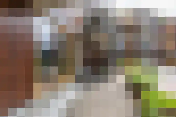 Boterdiep 32 5 Groningen thumbnail 29