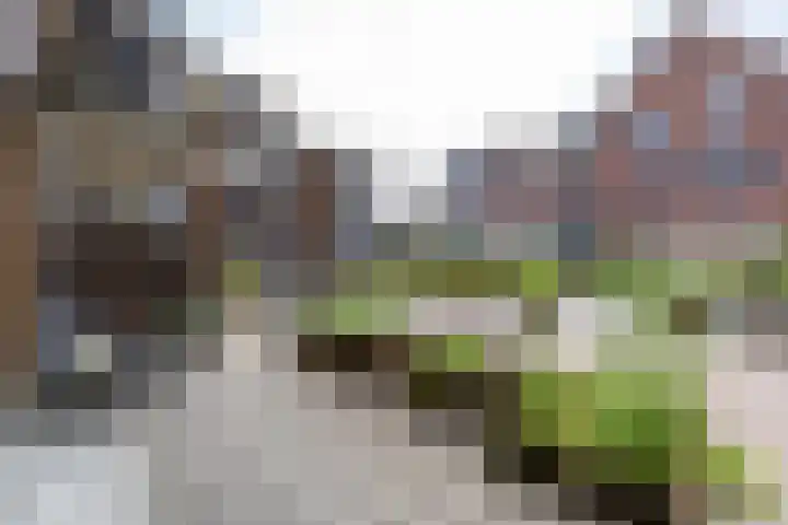 Boterdiep 32 5 Groningen thumbnail 35