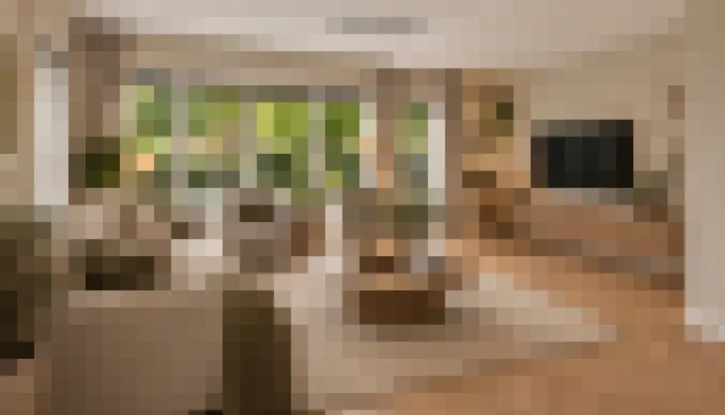 Boterdiep 4 Zwolle thumbnail 11
