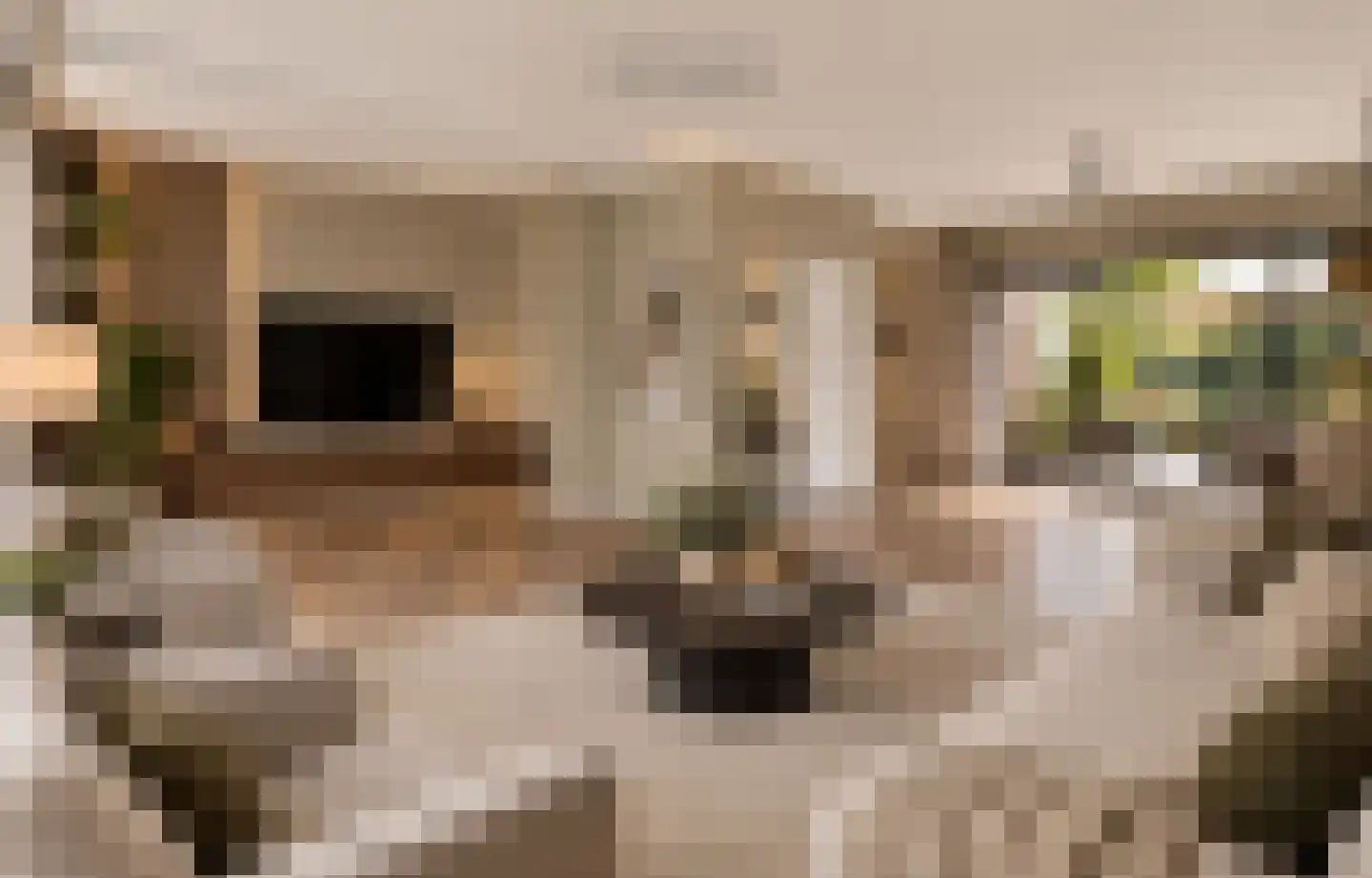 Boterdiep 4 Zwolle thumbnail 14