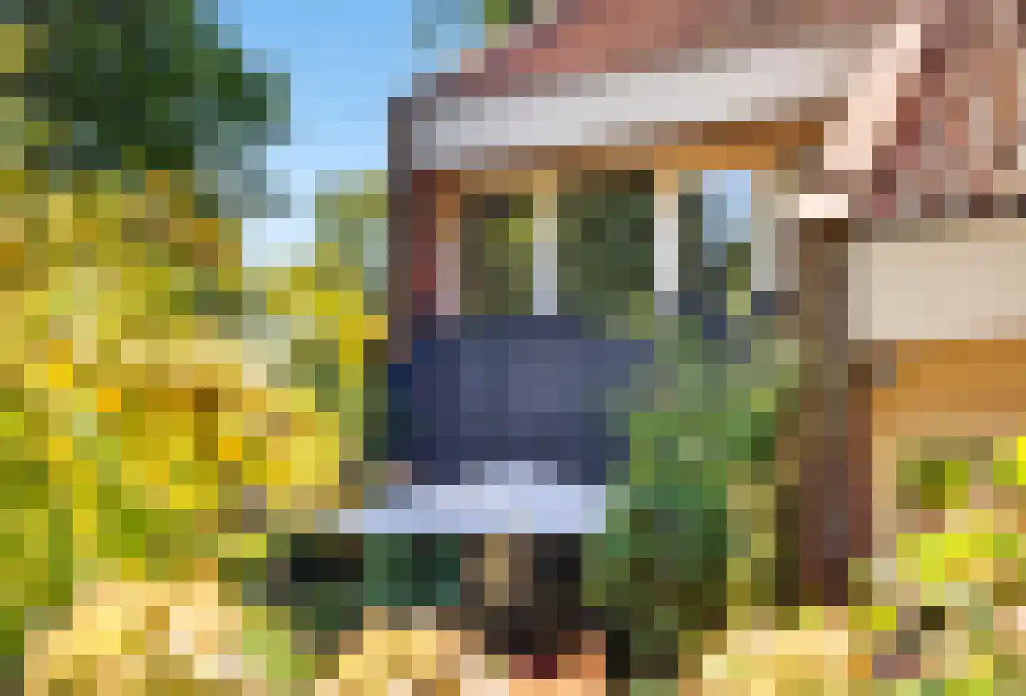Boterdiep 4 Zwolle thumbnail 28
