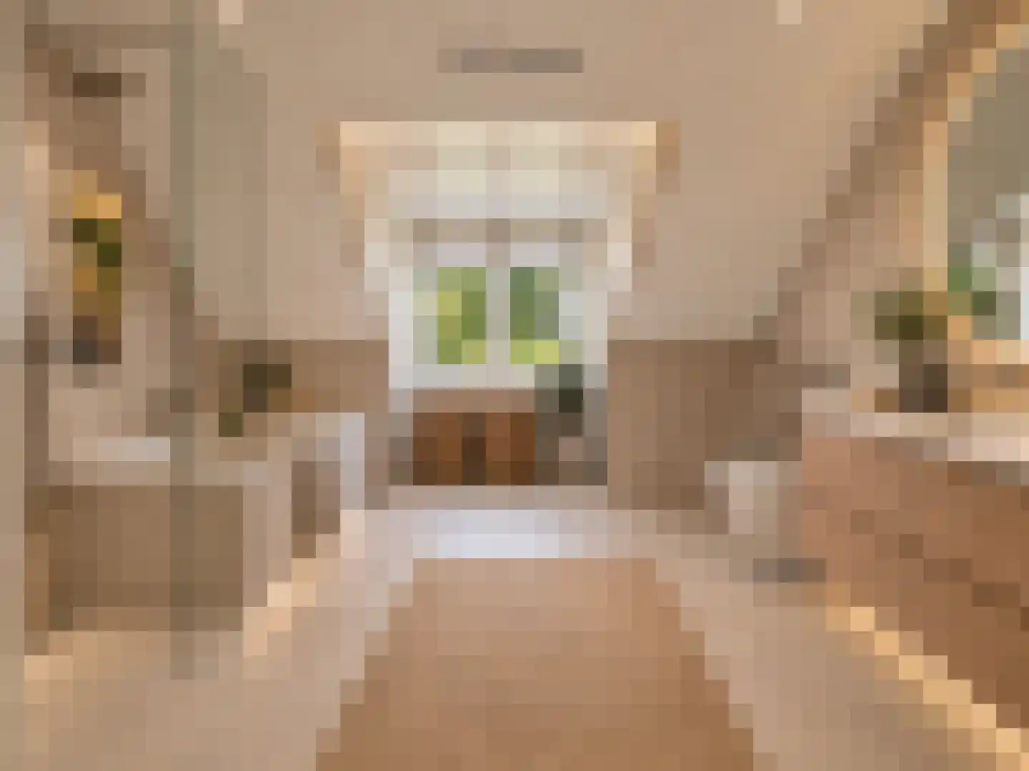 Boterdiep 4 Zwolle thumbnail 33