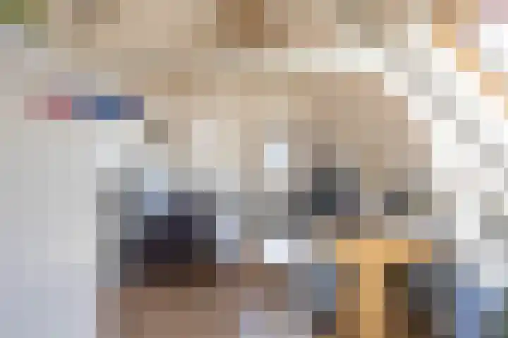 Boterdiep 96 h Groningen thumbnail 26