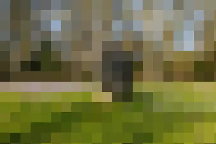 Boterdiep 96 h Groningen thumbnail 29