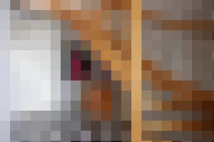Boterdiep Oz 19 Bedum thumbnail 14
