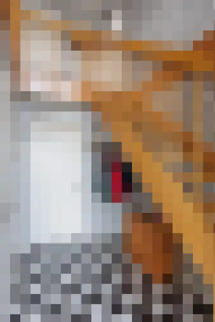 Boterdiep Oz 19 Bedum thumbnail 16