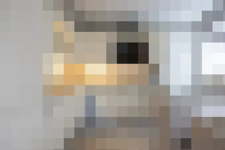 Boterdiep Oz 19 Bedum thumbnail 25