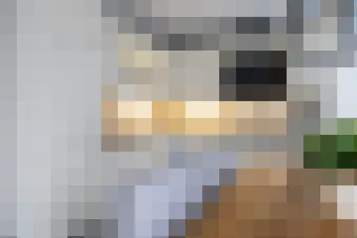 Boterdiep Oz 19 Bedum thumbnail 26