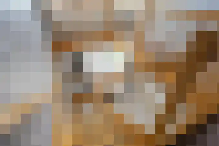 Boterdiep Oz 19 Bedum thumbnail 49