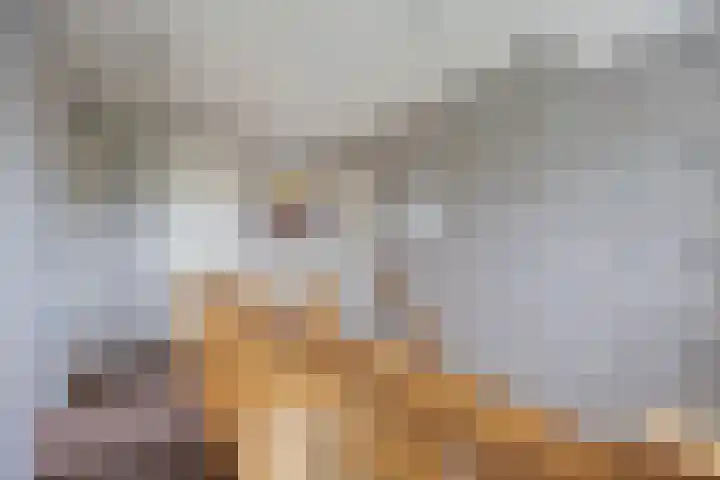 Boterdiep Oz 19 Bedum thumbnail 51