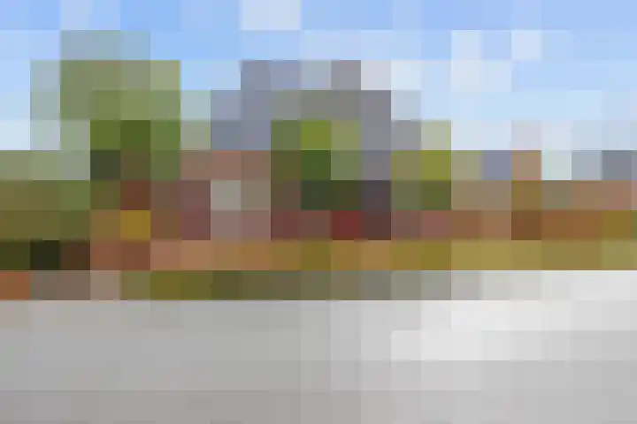 Boterdiep Oz 19 Bedum thumbnail 7