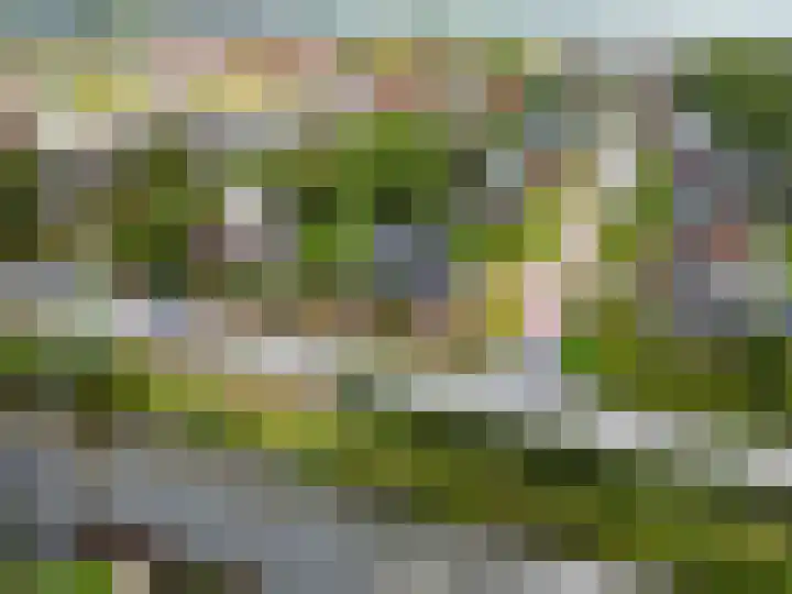 Boterdiep Oz 19 Bedum thumbnail 74