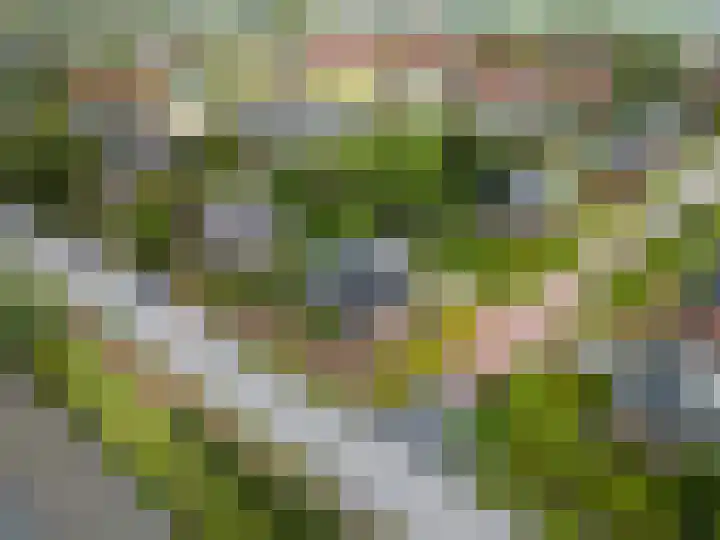 Boterdiep Oz 19 Bedum thumbnail 75