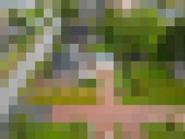 Boterdiep Oz 19 Bedum thumbnail 76