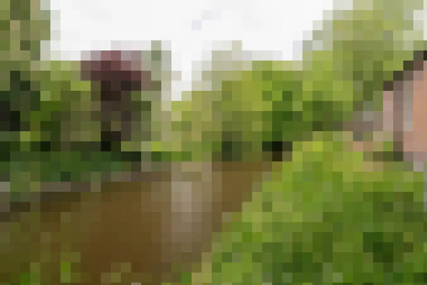 Boterdiep Oz 2 Onderdendam thumbnail 43