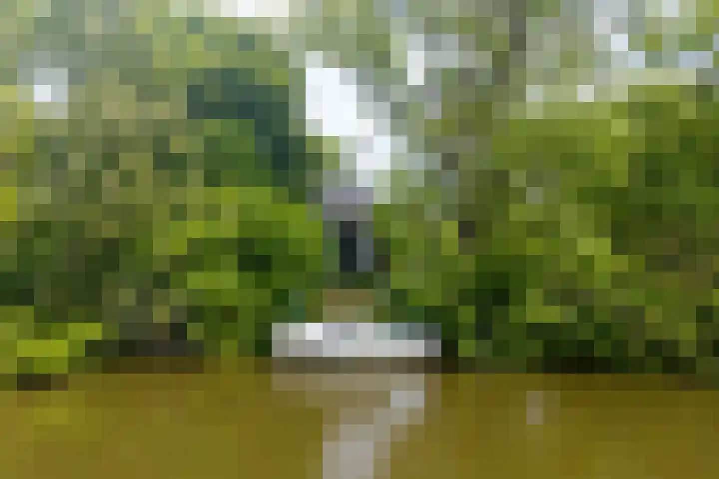 Boterdiep Oz 2 Onderdendam thumbnail 45