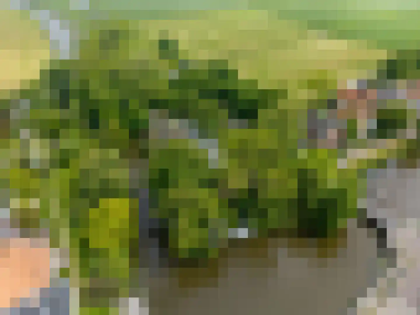 Boterdiep Oz 2 Onderdendam thumbnail 53
